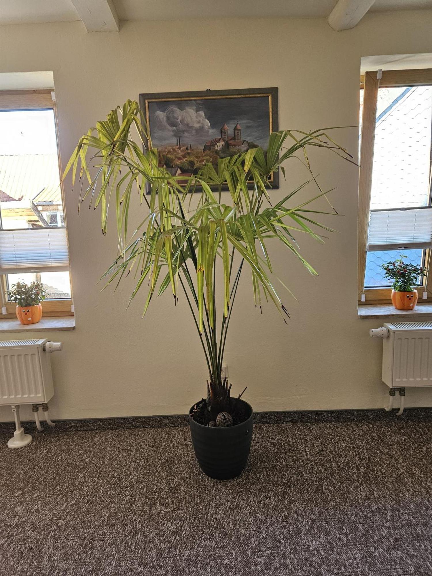 Ferienwohnung Goldstr.7 Quedlinburg Bagian luar foto
